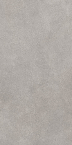 Керамогранит 60х120 Cassini серый GT1206017701MR : фотография 1