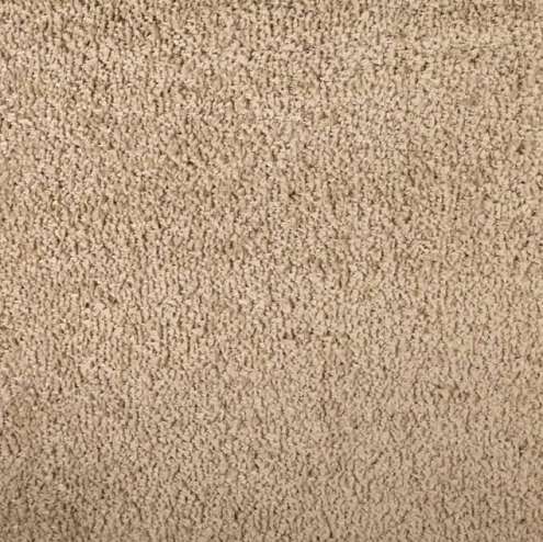 Ковровое покрытие  Super paula 5121A FDT66 beige/beige  2м: фотография 1