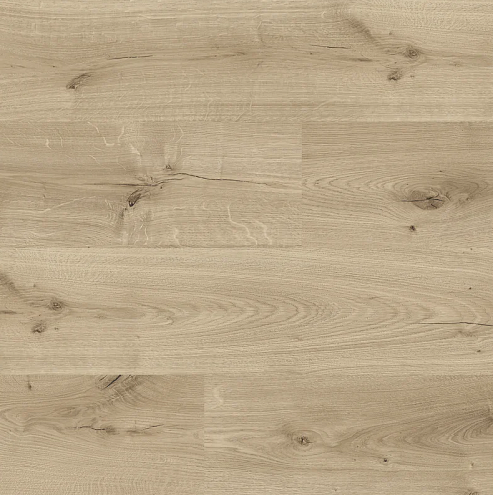 Ламинат Cuberta Family 33 8  4113 Дуб Беверли : фотография 1