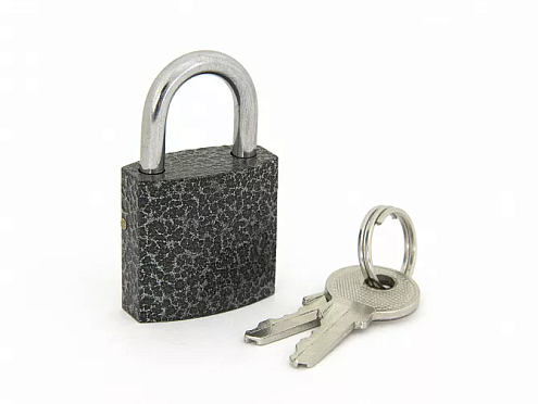 PALLADIUM Замок навесной 303F-25: фотография 1