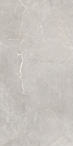 Керамогранит 60х120 Sogdiana серый GT12060126001SSR : фотография 1