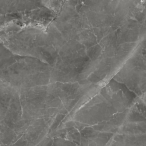 Керамогранит 60х60 Tulip темно-серый GT606012109SPR : фотография 1