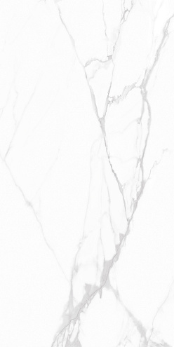 Керамогранит 60х120 Andrea белый GT1206015903PDR : фотография 1