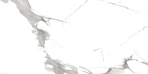 Керамогранит Royce Segesta Grey 60х120 Matt R_NR2002 : фотография 1