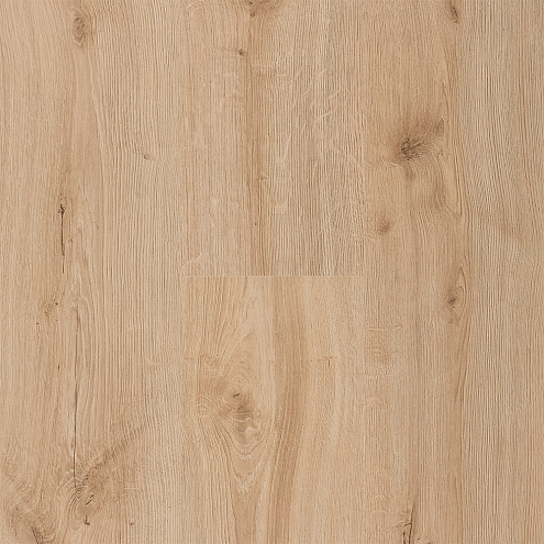 Ламинат Kastamonu Grey 32 класс 8мм Ройбуш FP470 : фотография 1