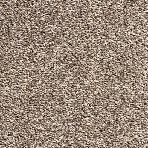 Ковровое покрытие  Cardinal 10558 cream+coffee 3,5м: фотография 1