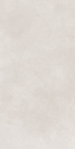 Керамогранит 60х120 Cassini светло-серый GT1206017706MR : фотография 1