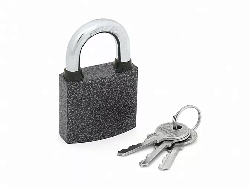 PALLADIUM Замок навесной 303F-50: фотография 1