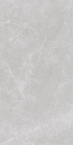 Керамогранит 60х120 Nioba серый GT1206013001LR : фотография 1