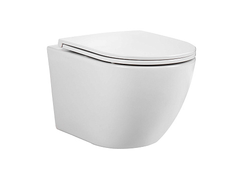 Унитаз подвесной безободковый Aquatek Европа AQ1900T-00 490х360х320 с сиденьем Soft Close, смыв Торнадо: фотография 1